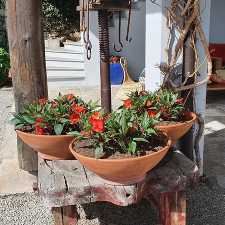 I Carcioni Infinity Pool *