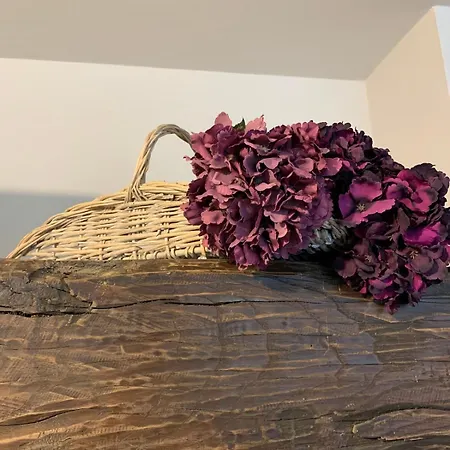 I Carcioni Infinity Pool 펜션 벨지라테