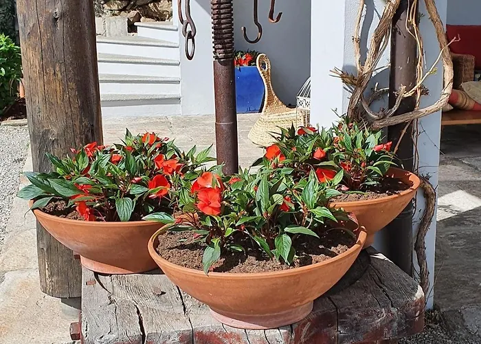 I Carcioni Infinity Pool *