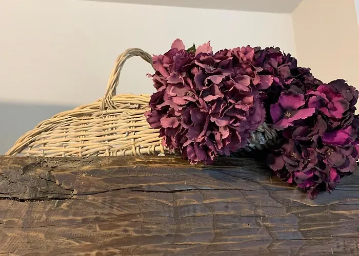 I Carcioni Infinity Pool Tatil Evi Belgirate